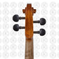 Liandro DiVacenza™ Violin (DV100)