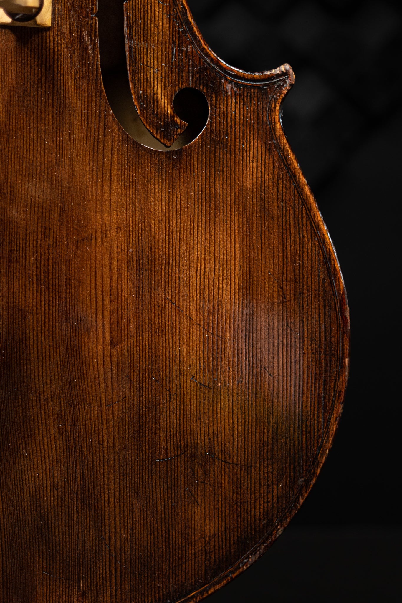 Kolstein Grand Panormo Bass