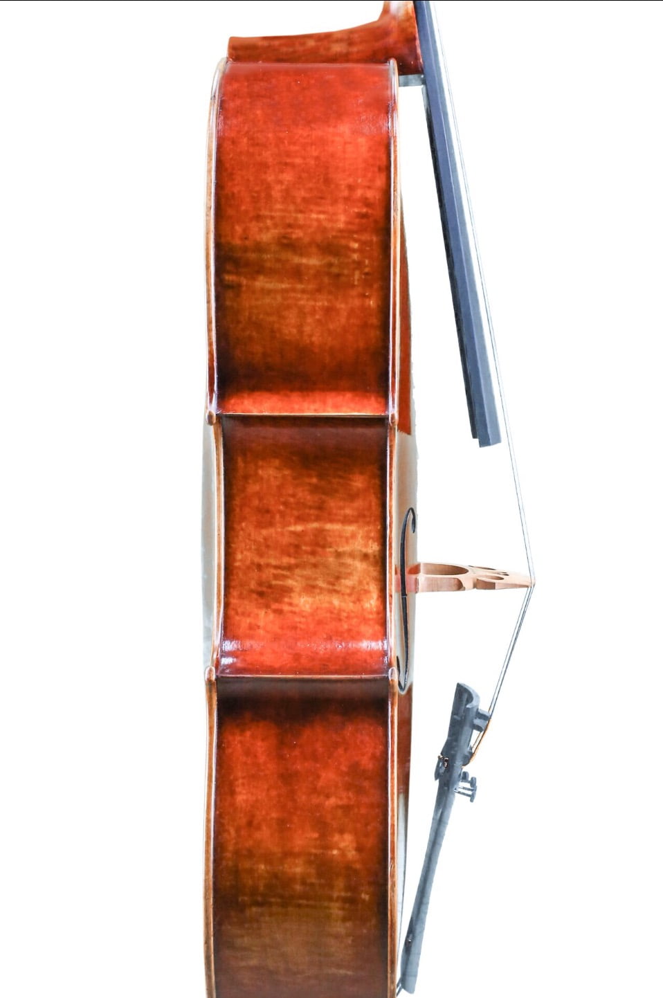 Tina Guo 300 Cello Package