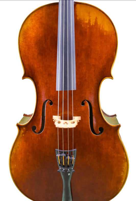 Tina Guo 300 Cello Package