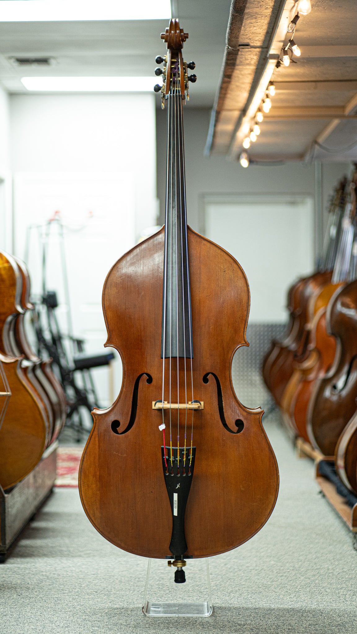 5 String Bass Liandro Divacenza Dollenz