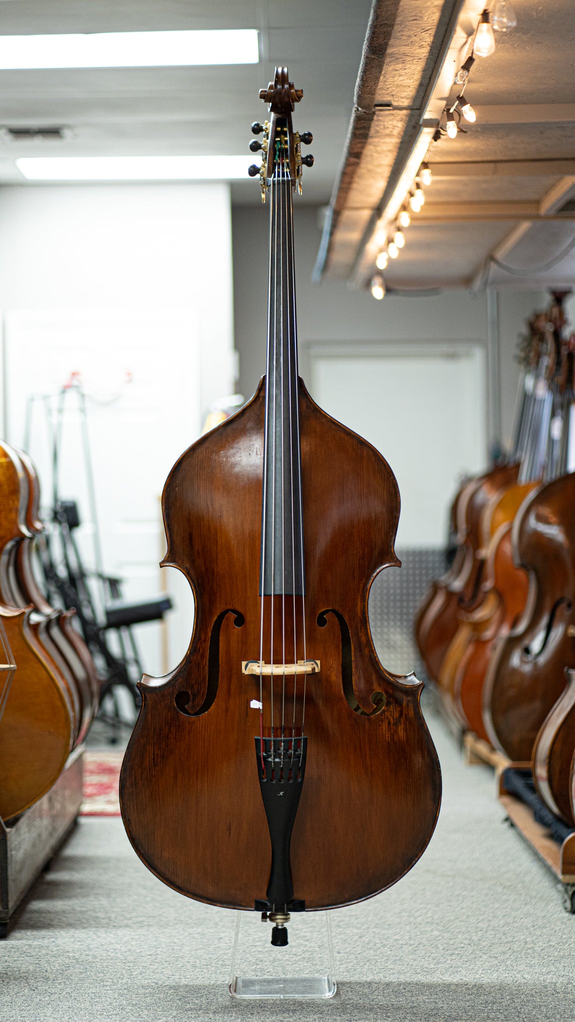 5 String Kolstein Panormo Bass