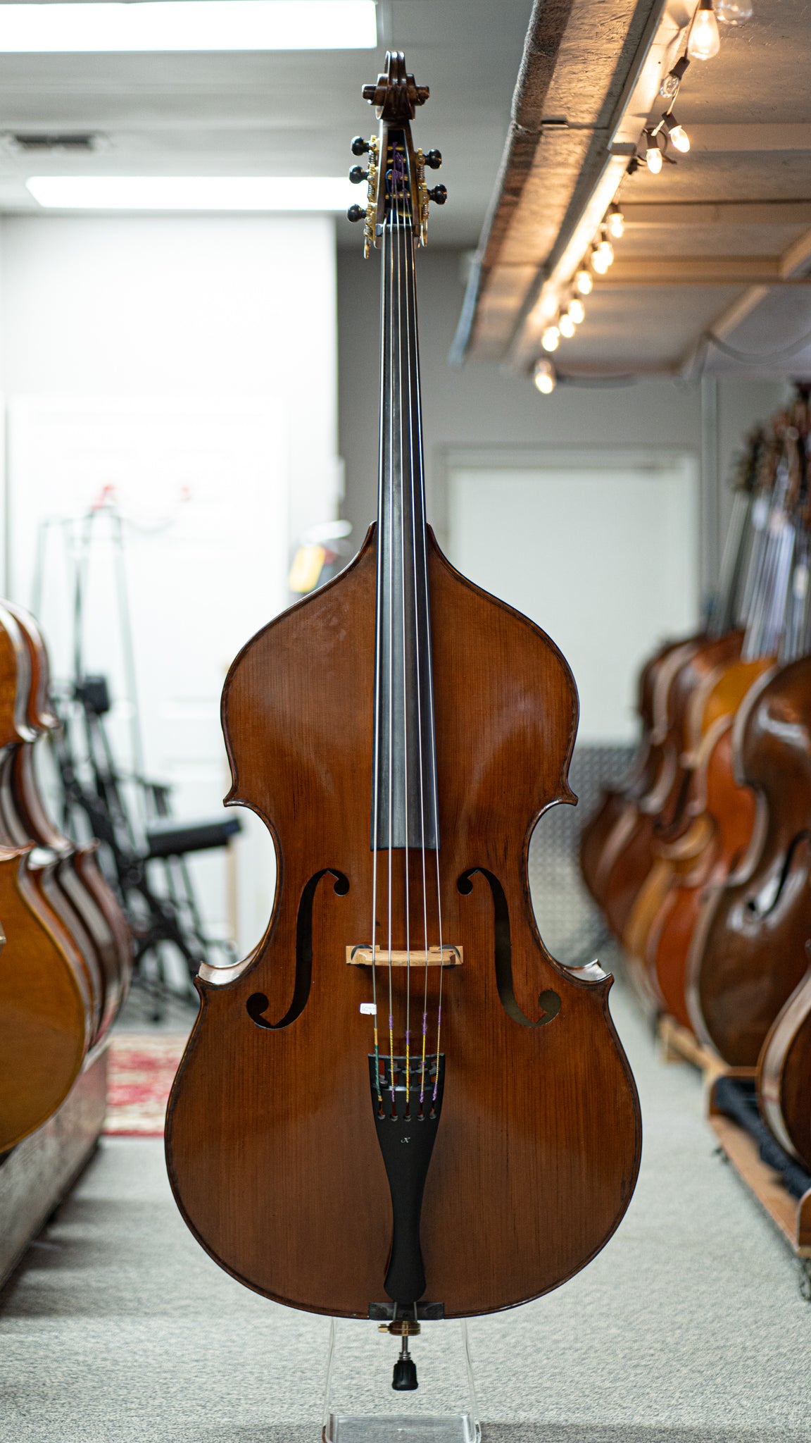5 String Kolstein Panormo Bass