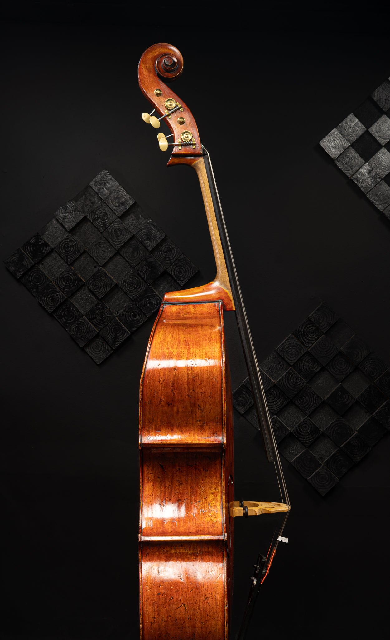 Thomas Dodd Model Bass