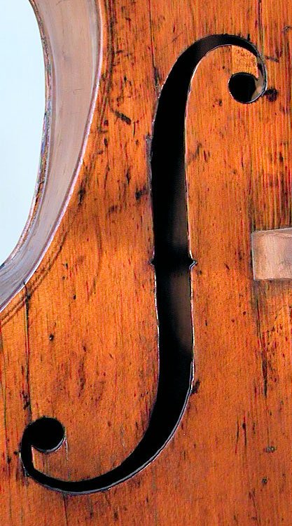 Cuypers Shop Bass Violin