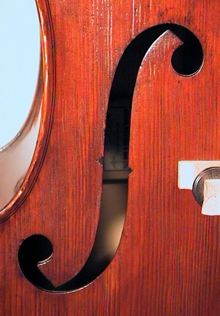 Kolstein Panormo Model Bass Violin