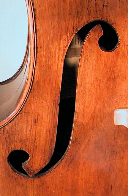 Luigi Ferrarotti Bass Violin