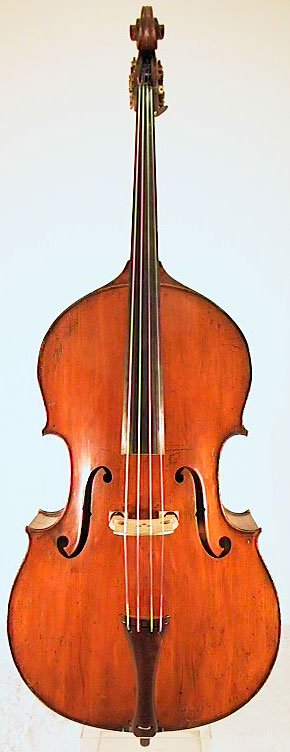 Justin Maucotel Bass Violin