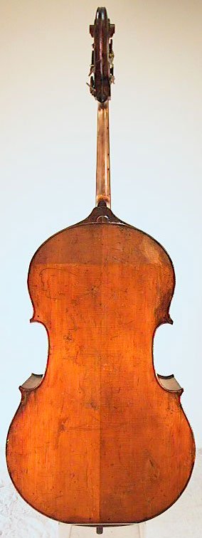 Justin Maucotel Bass Violin