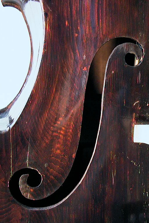 Carlo Guiseppi Testore Bass Violin