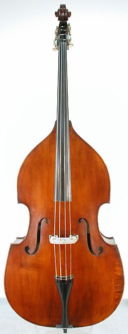 Liandro DiVacenza Bass Violin
