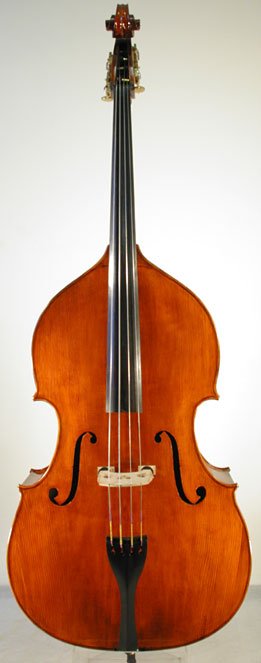 Liandro DiVacenza Master Art Bass Violin