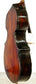 Giovanni Maria del Bussetto Bass Violin