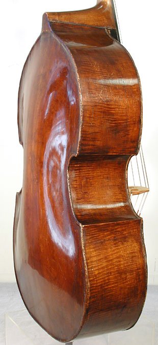 Giovanni Baptista Gabrielli Shop Bass Violin