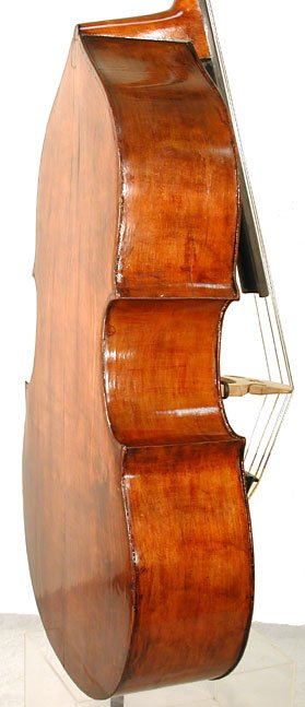 Paolo Carlini Bass Violin