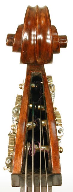 Antonio Gibertini Shop Bass Violin