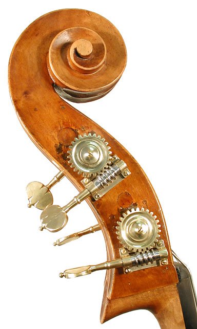 Ezio Tanzi Bass Violin