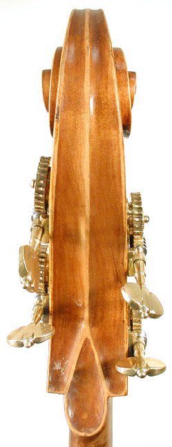 Ezio Tanzi Bass Violin