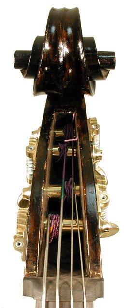 Santino Mascolo Bass Violin