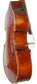 Cipriano Briani Bass Violin