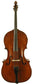 Giovanni Baptista Grancino Bass Violin