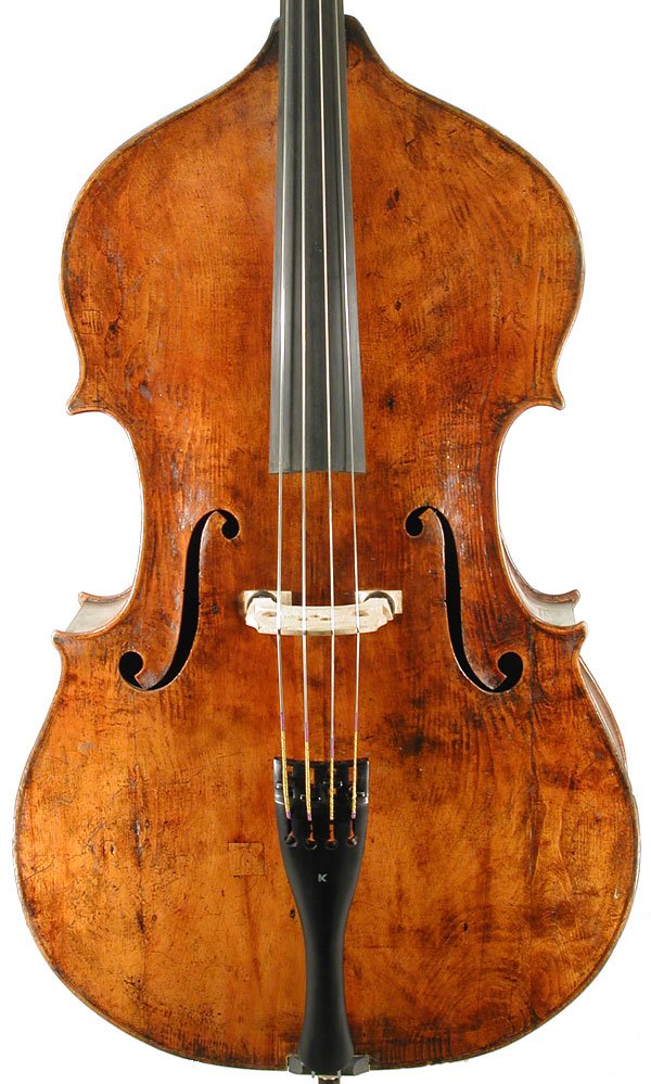 Vincenza Panormo Bass Violin