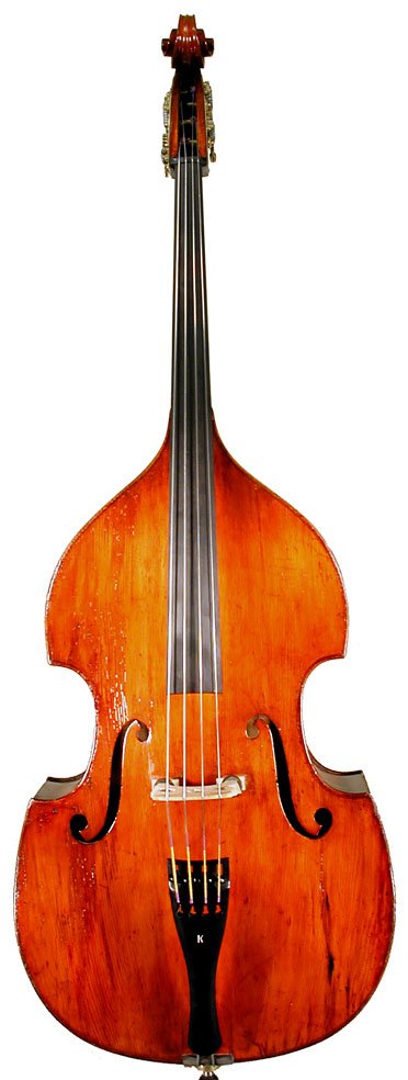 Dionigi Ferrarotti Bass Violin