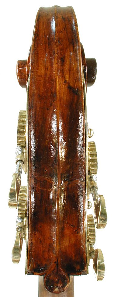 Giovanni Cavani Bass Violin