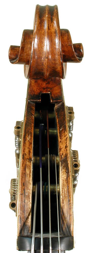 Bernardus Calcanius Bass Violin