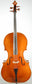 Liandro DiVacenza Strad Model Cello