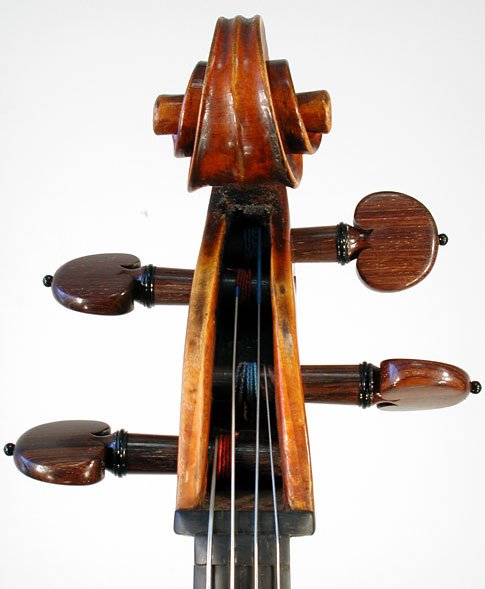 Armando Monterumici Cello