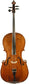 Bohemian 19th Century Cello