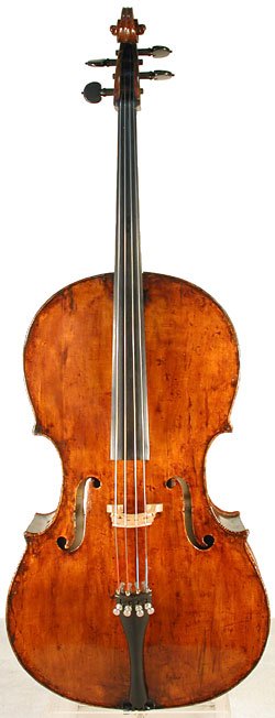 Ceruti School Cello