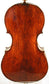 Ceruti School Cello