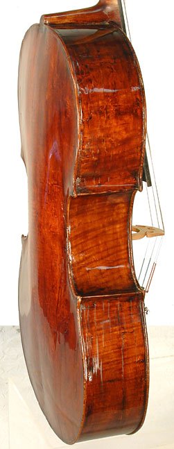 Ceruti School Cello