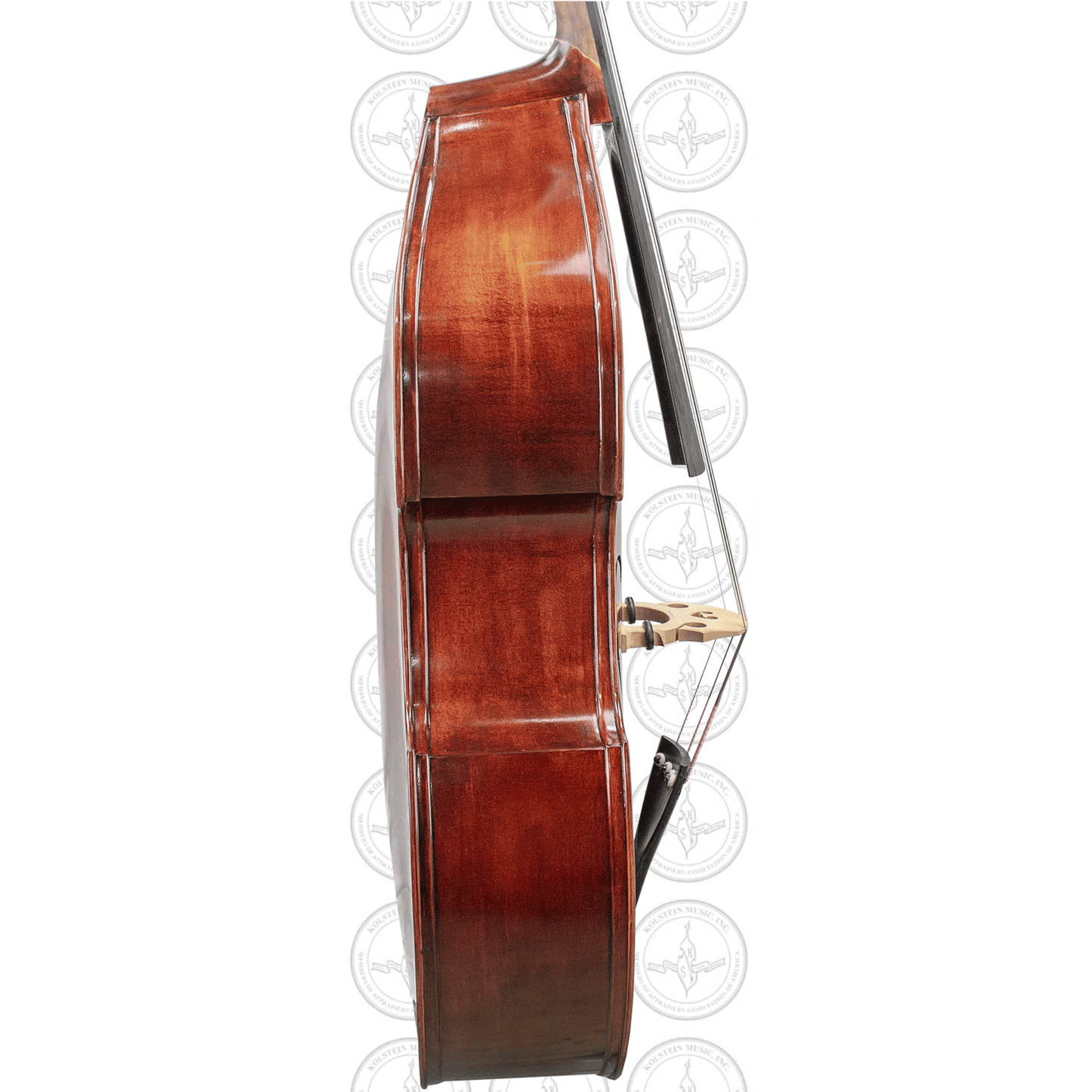 Liandro DiVacenza™ Mittenwald Orchestral Bass