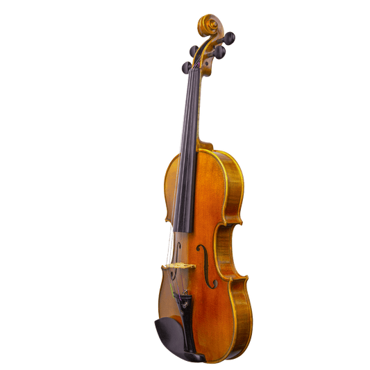 Liandro DiVacenza™ DV100 Violin