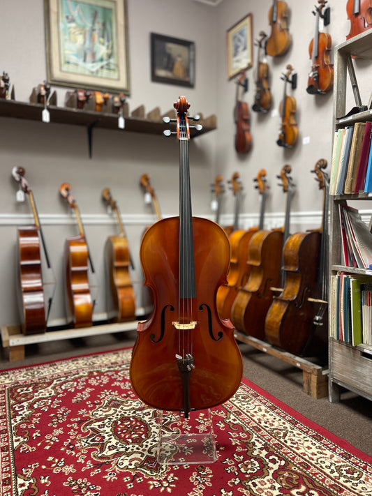 Liandro DiVacenza Model Cello DC300