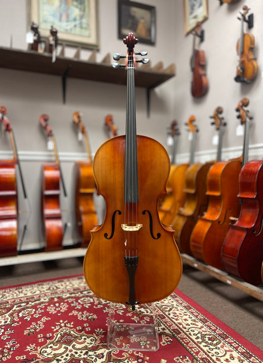 Liandro DiVacenza Cello DC-75 Hybrid