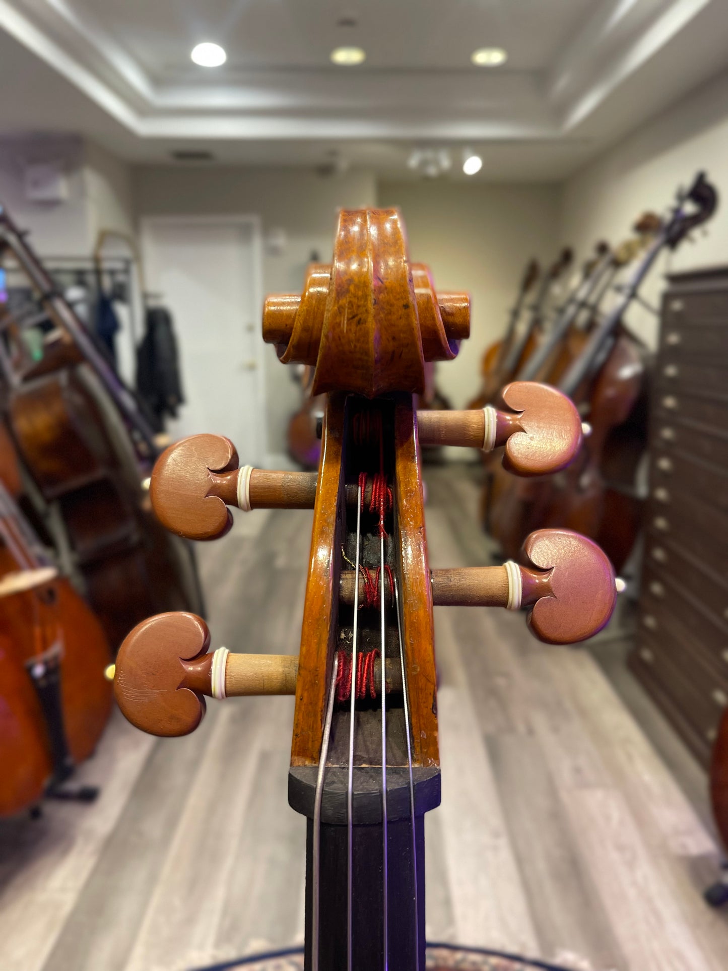 Guiseppe Dall’Aglio Cello