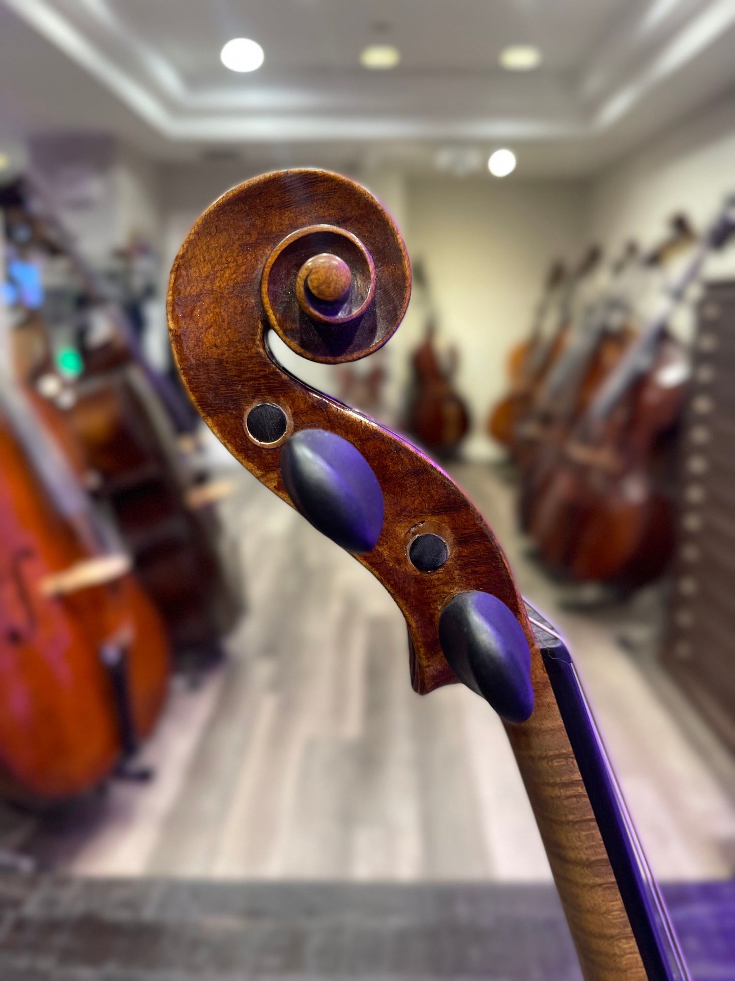Czech Origin Violin