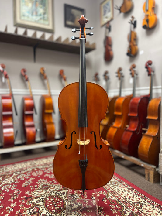 Liandro DiVacenza Cello DC200