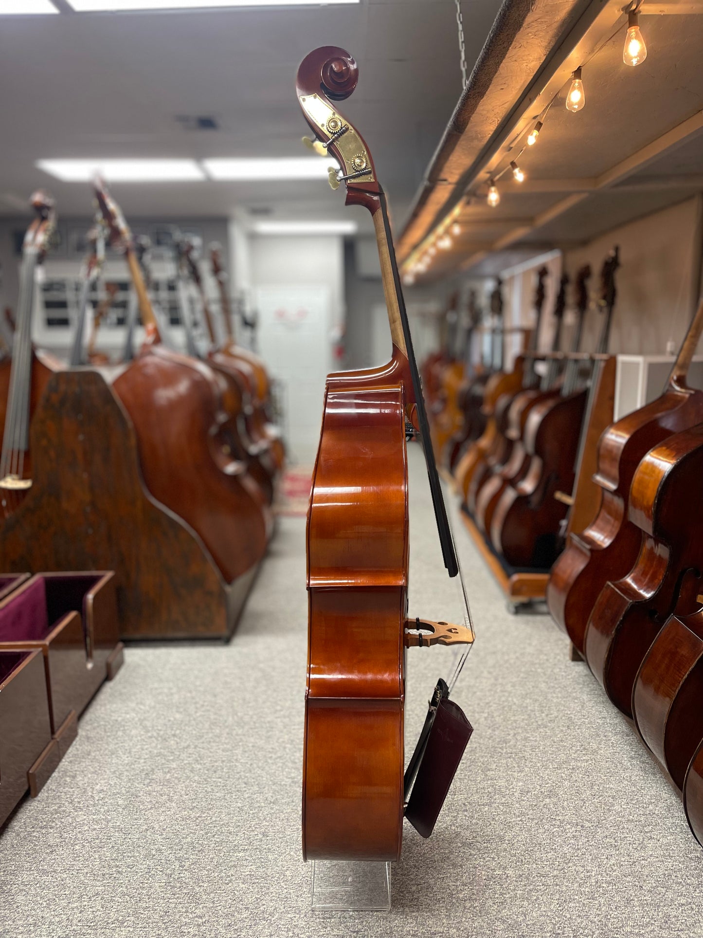 Orchestral Model Bass