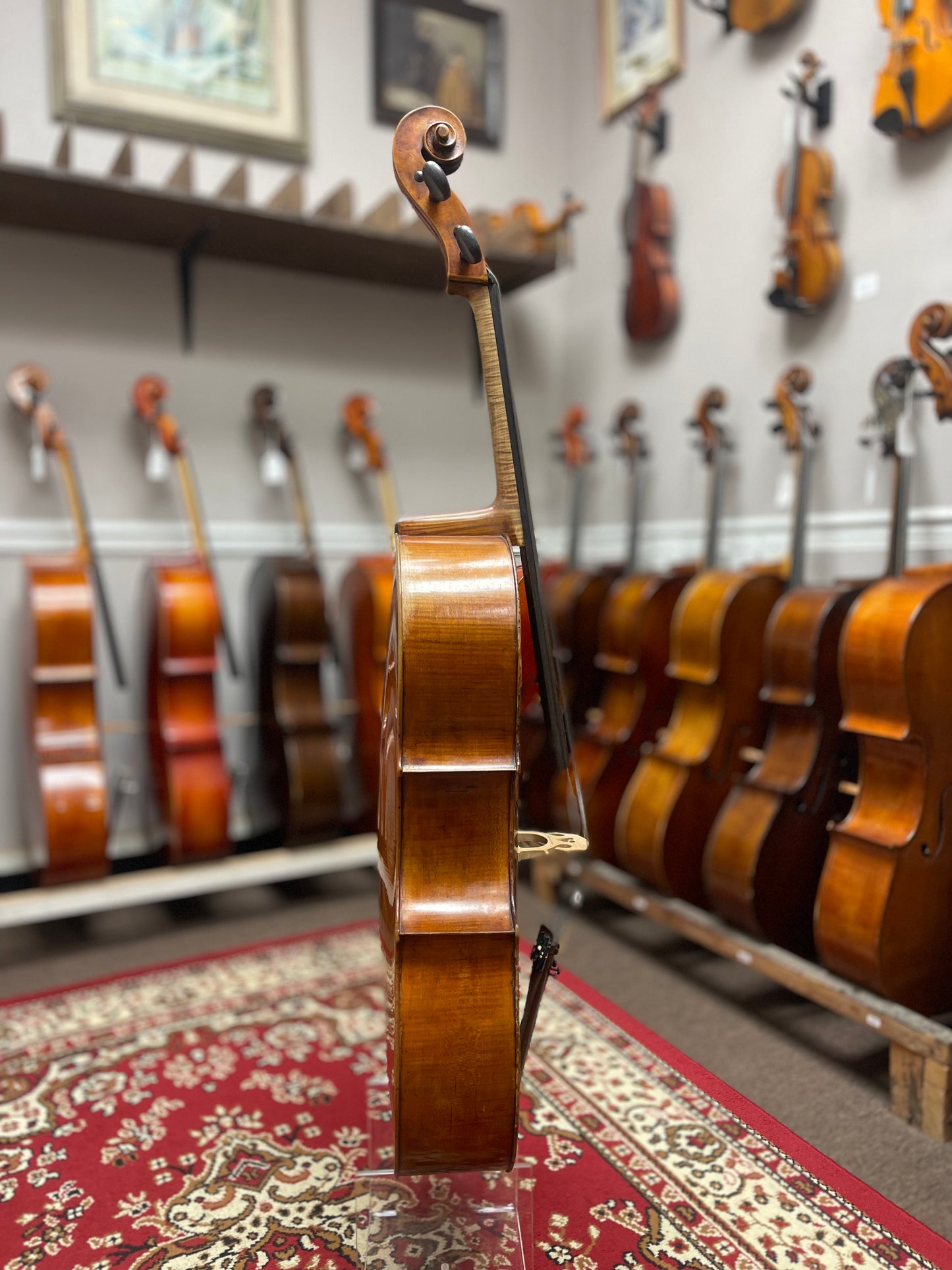 Prague Cello Labeled Jorio