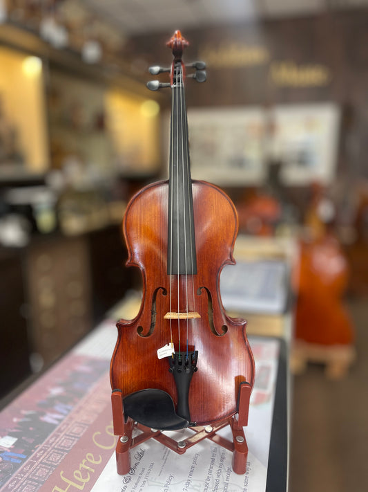 Liandro DiVacenza DV300 Violin