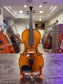 Liandro DiVacenza Model 600 4/4 Violin