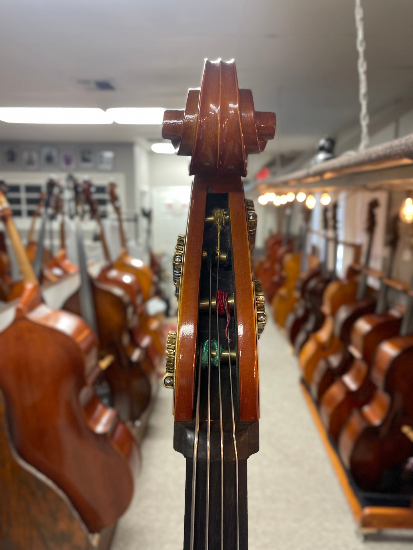 Orchestral Model Bass