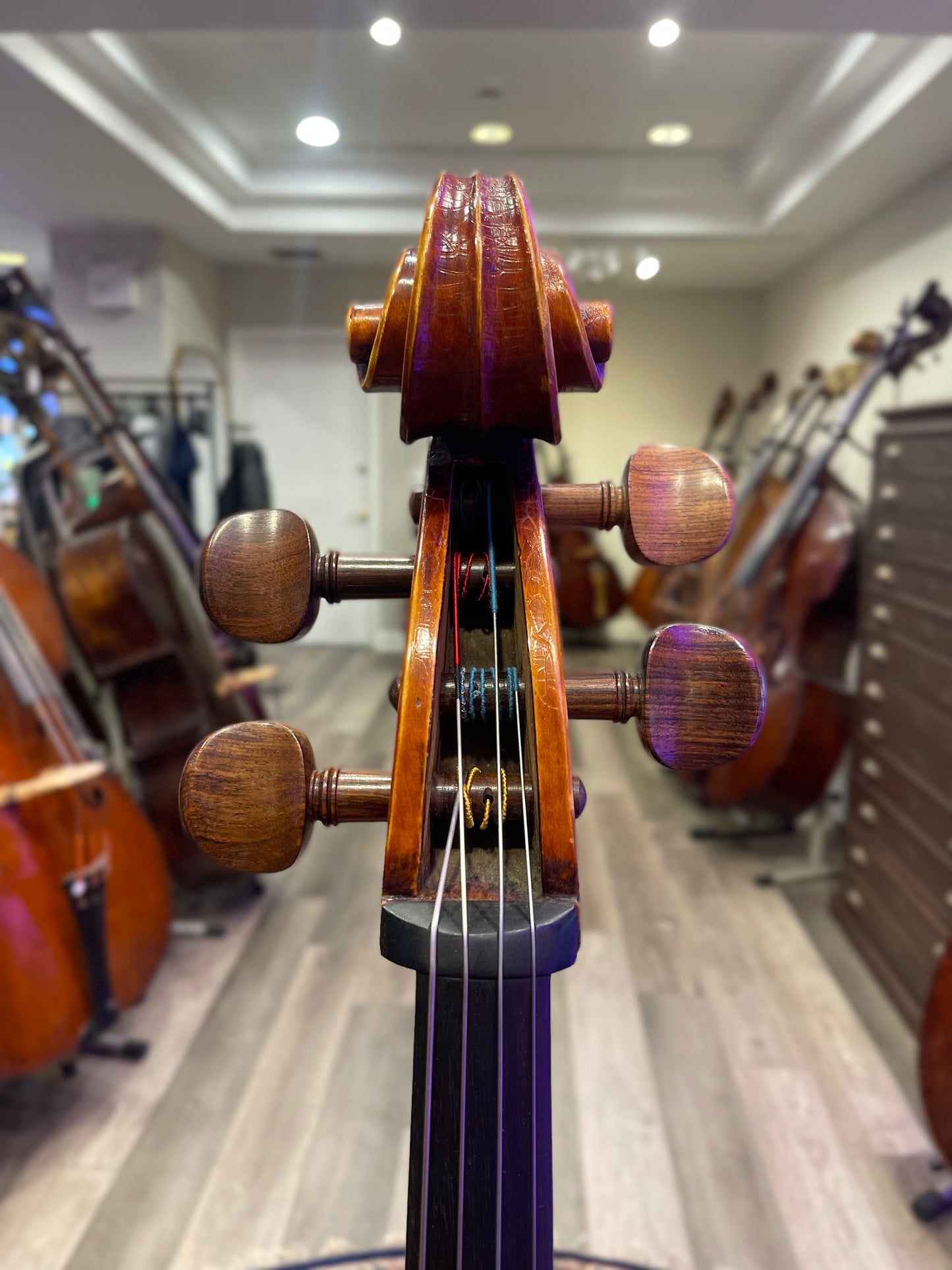 Pietro Messori Cello