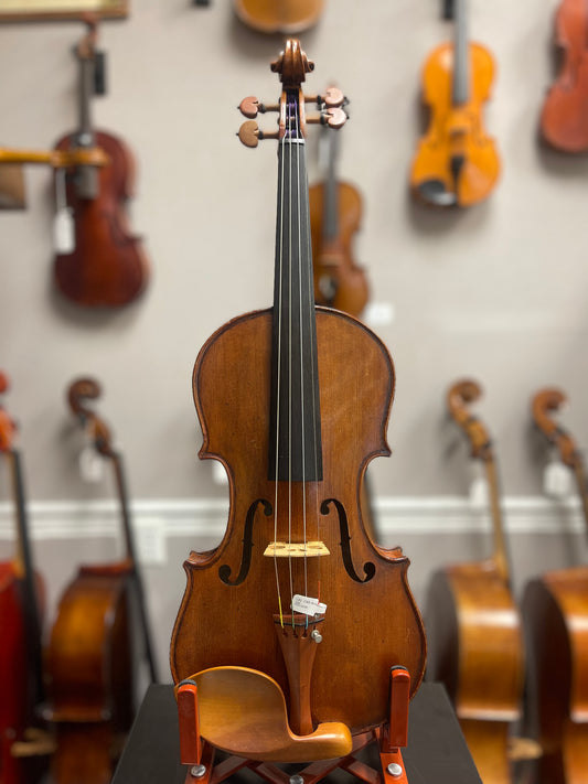 Kolstein Shop Strad Model