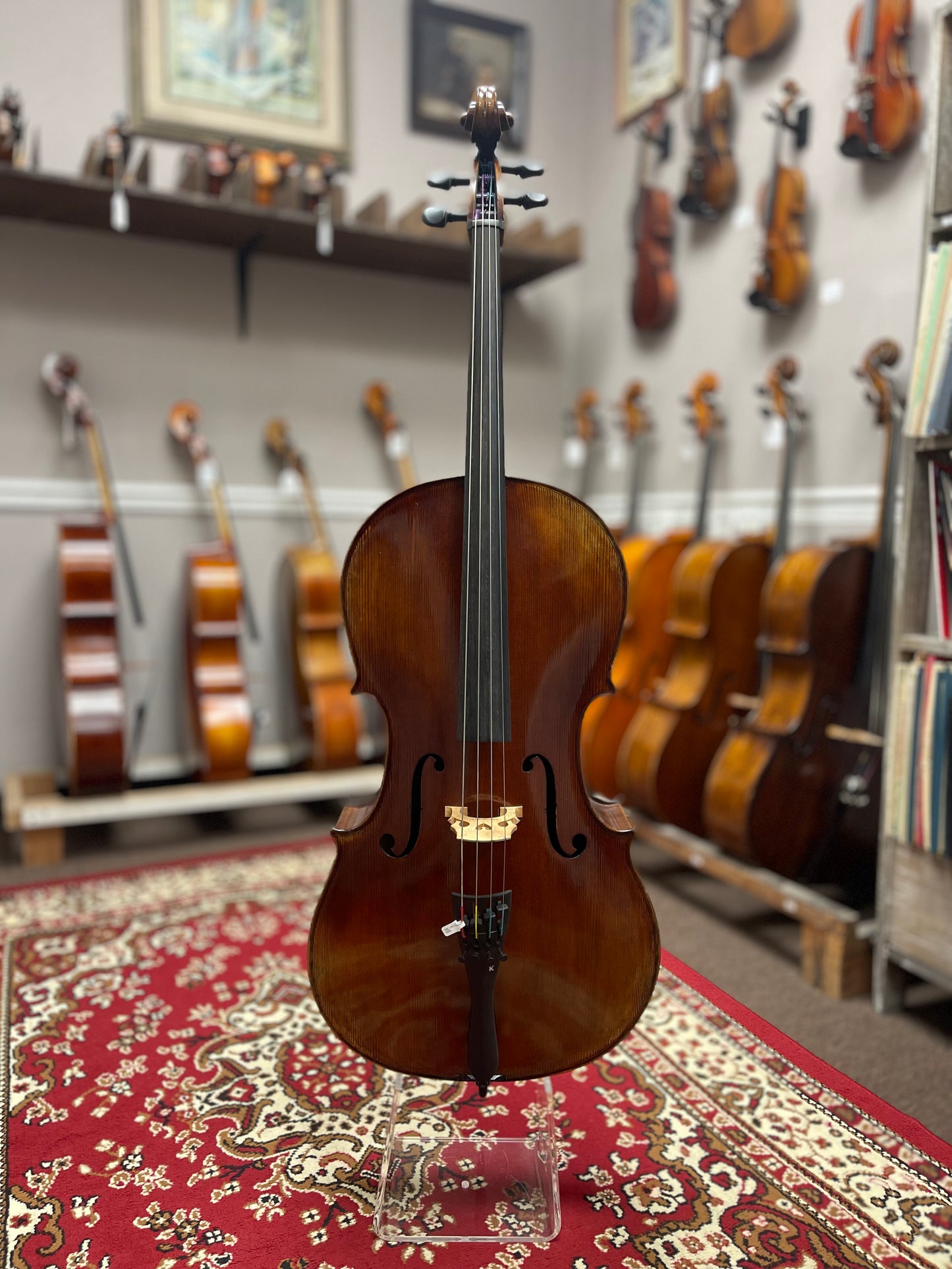 Tina Guo Elite Model Cello 600 Master Art Special
